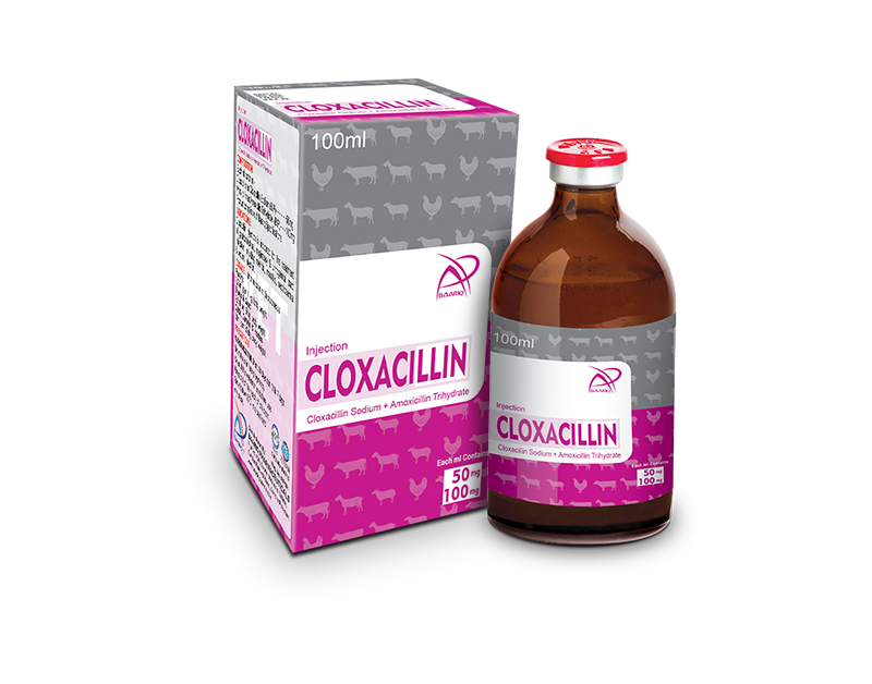 Cloxacillin