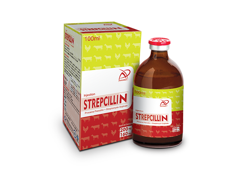 Strepcillin