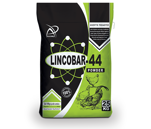 Lincobar-44