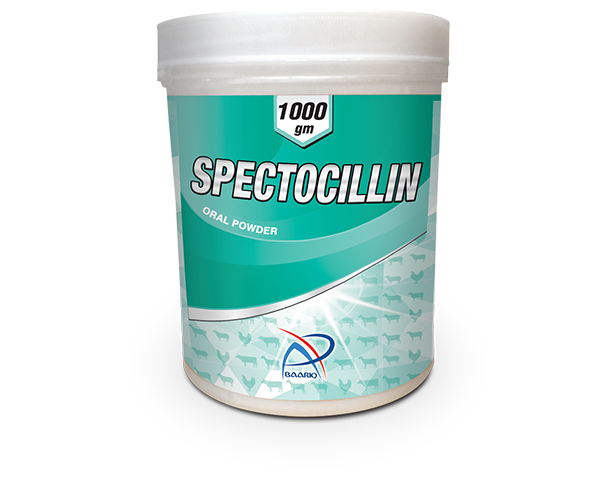 Spectocillin